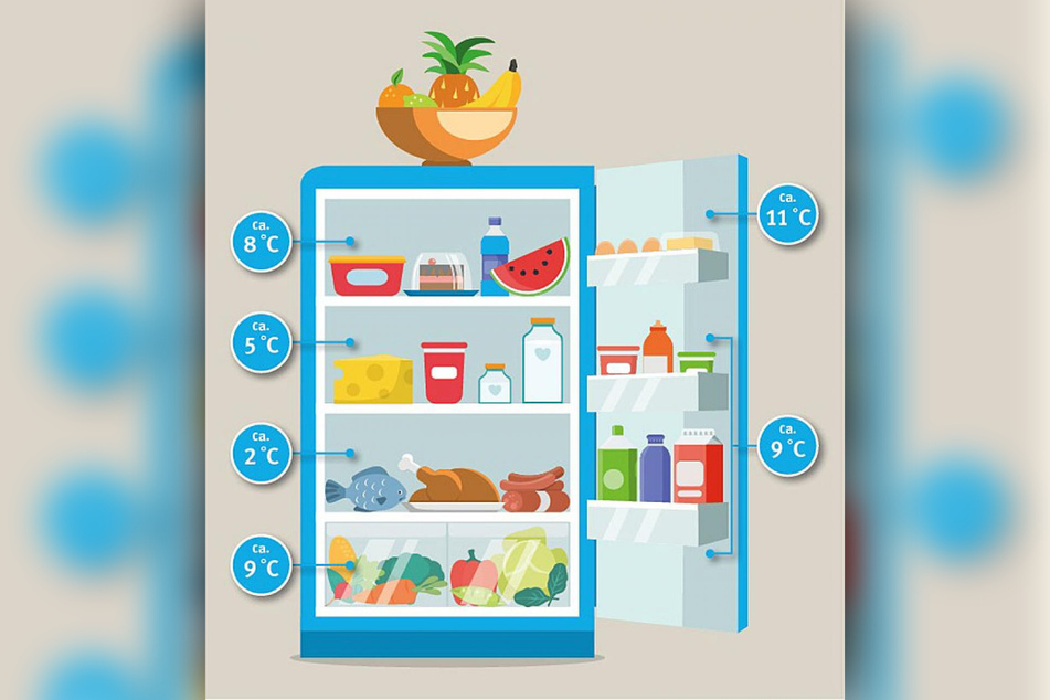 Wenn Lebensmittel richtig im Kühlschrank gelagert werden, halten sie deutlich länger.