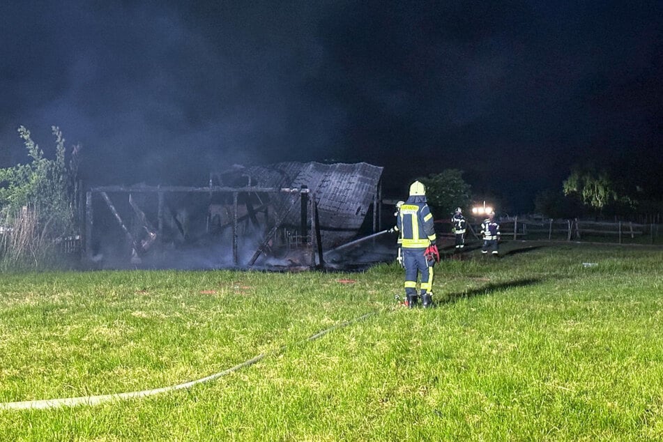 Im Salzlandkreis brannte in der Nacht eine Straußenfarm.