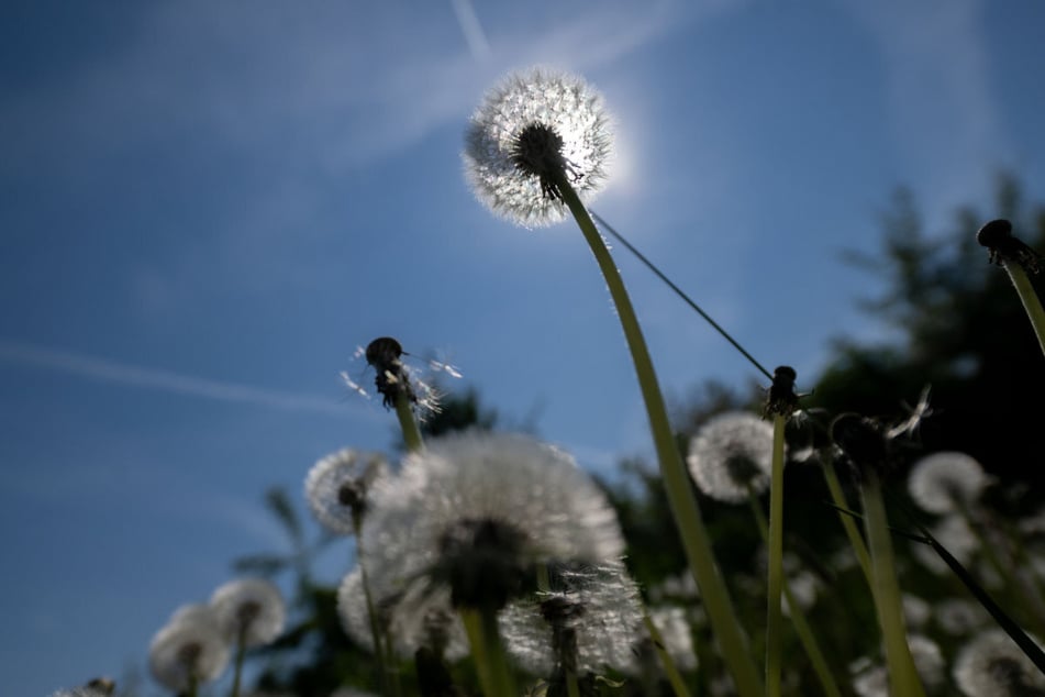 Die Bayern dürfen sich auf traumhaftes Wetter freuen – doch auf die sommerlichen Klamotten sollten sie noch ein paar Tage warten.