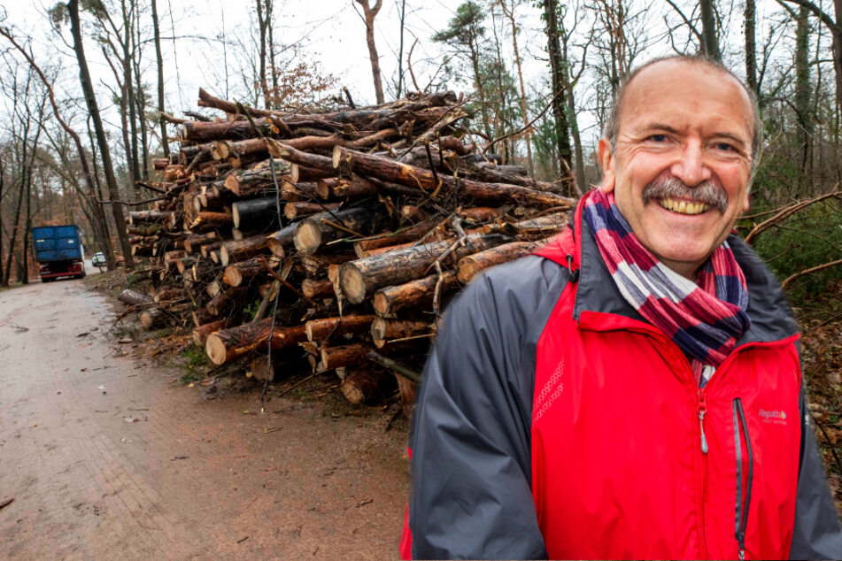 Anfang des Jahres wurden im Waldpark Blasewitz hunderte Bäume gefällt. Amtsleiter Detlef Thiel (60) muss sie ersetzen. (Bildmontage)