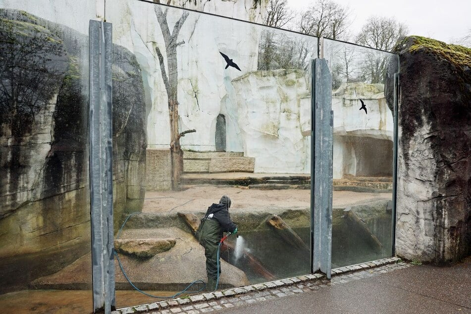 Randalierer sind vergangenes Wochenende in den Zoo in Karlsruhe eingedrungen und haben mehrere Tieranlagen mit Müll verwüstet.
