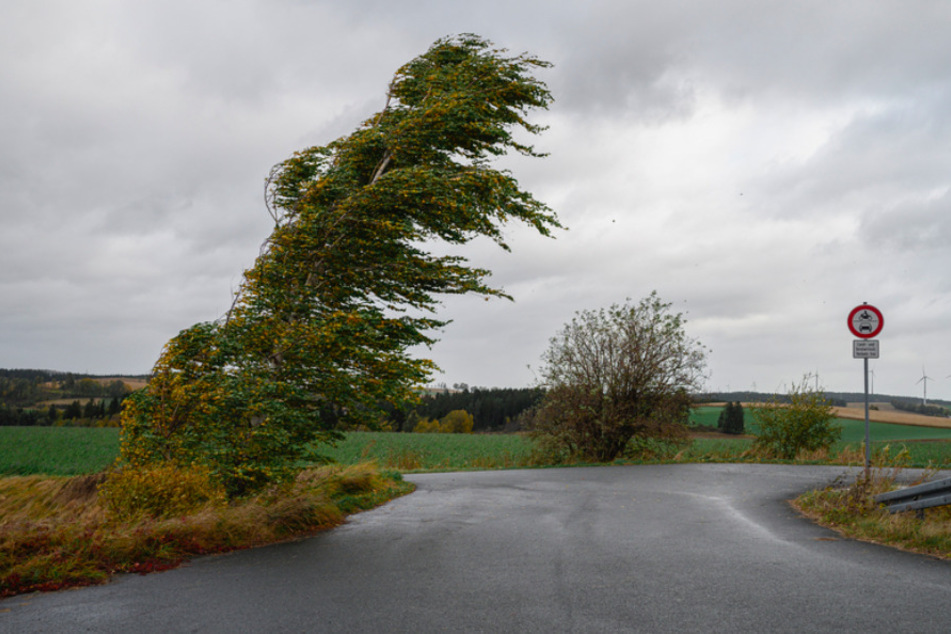 In Oberfranken wütete Tief "Hendrik" am Vormittag besonders stark.