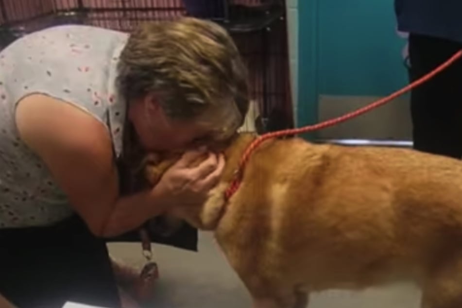 Fiona's owner buried her face in the dog's fur when the two were reunited.