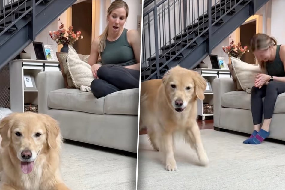Erst staunt Katie Bubolz, wie Golden-Retriever-Weibchen Emma auf den Song reagiert. Bald darauf kann sie sich vor Lachen kaum halten.