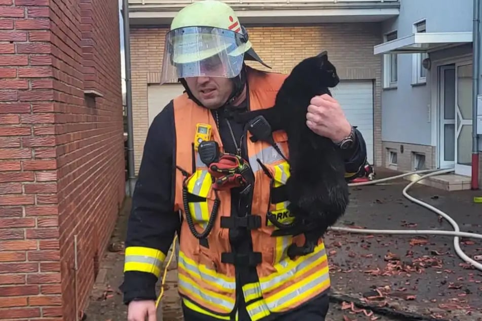 Ein Feuerwehrmann hat die gerettete Katze auf dem Arm.