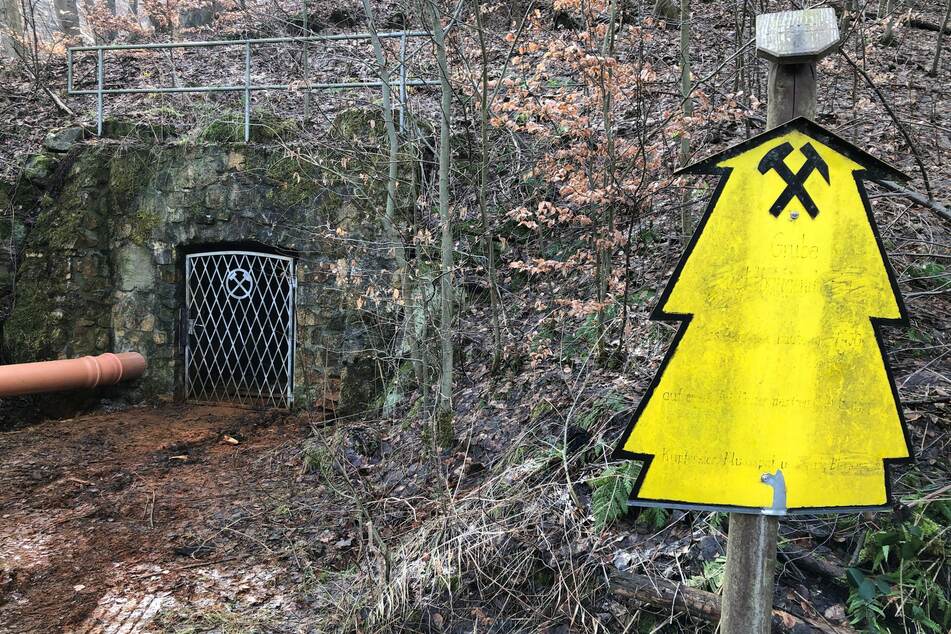 Vom Hagentalstollen bei Gernrode geht Gefahr für die Umwelt aus.