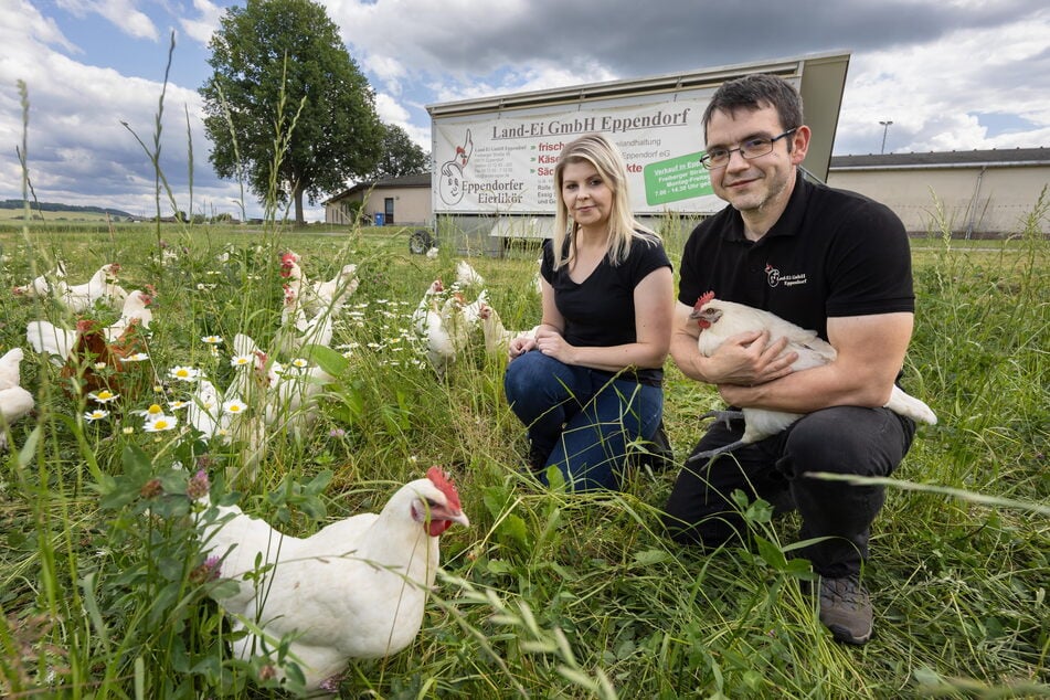 Die Hühner von Kristin Kircheis und Andreas Vogel dürfen draußen picken und legen echte "Land-Eier".