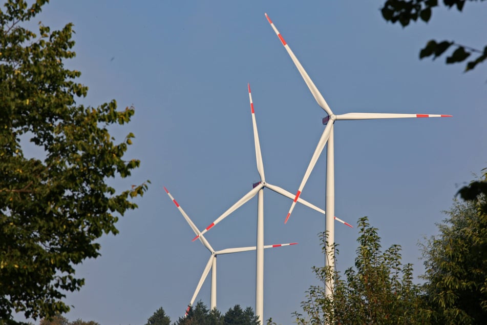 Windräder in Sachsens Wäldern galten lange als No-Go. Seit 2023 dürfen sie aber auch dort gepflanzt werden.