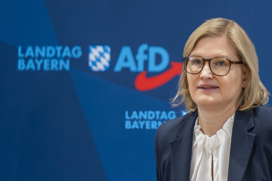 AfD bewertet "Nützlichkeit" von Menschen und fordert Ausgangssperre für Asylbewerber