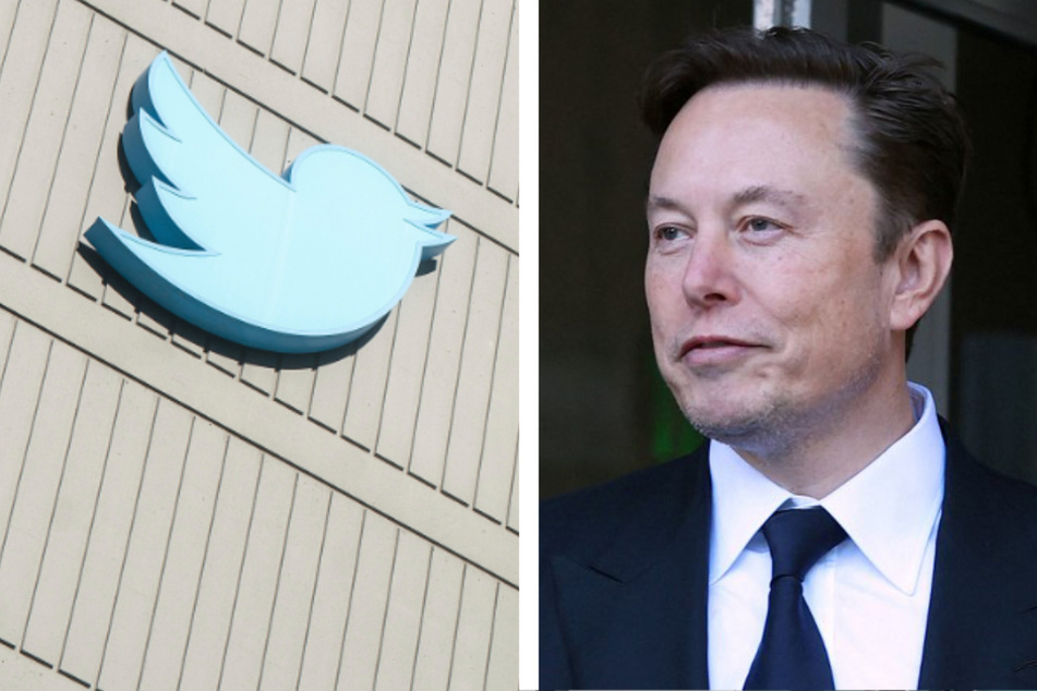 Tausende Stellen eingestampft: Elon Musk hat Twitter massiv verkleinert