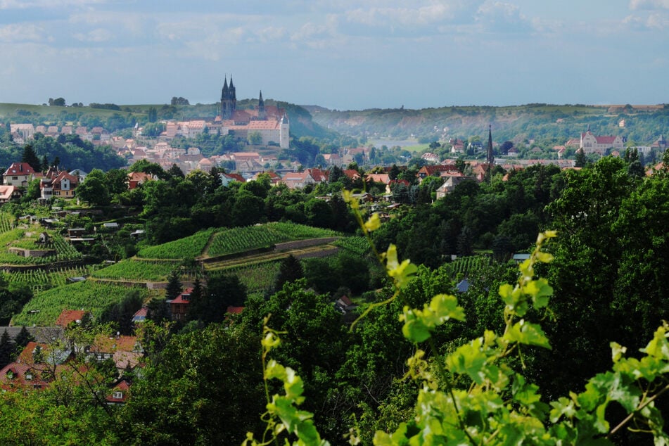 Der wunderbare Blick auf Meißen vom Spaargebirge aus.