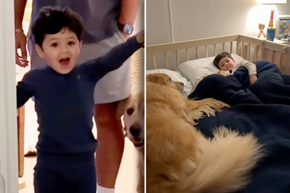 Große Freude: Frankie ist alt genug für ein größeres Bett. Darin darf ihn Beau nun endlich bewachen.