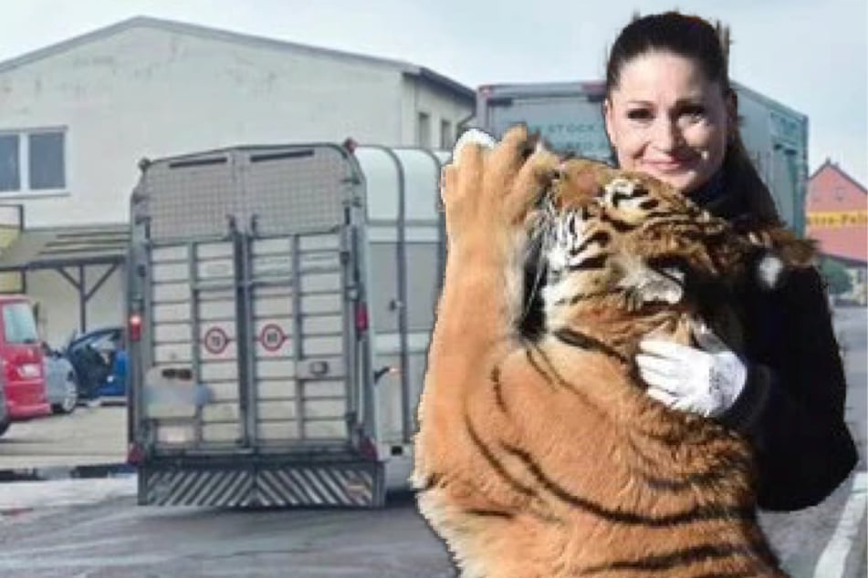 Leipzig: Nachdem ihr sechs Tiere weggenommen wurden: Will die "Tiger Queen" jetzt Sachsen verlassen?