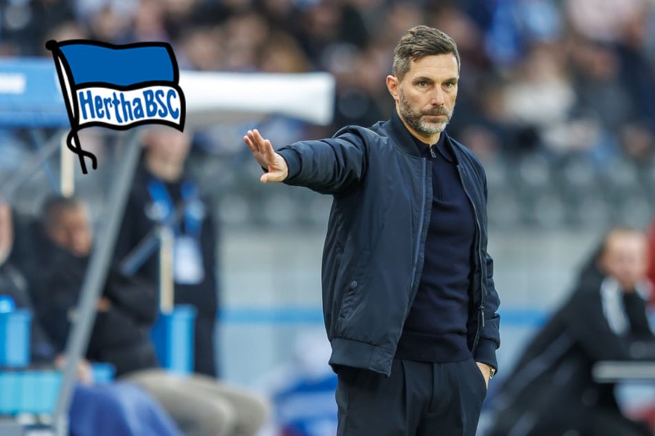 Hertha will klettern: Leitl fordert Maximum trotz Mittelfeld-Notstand