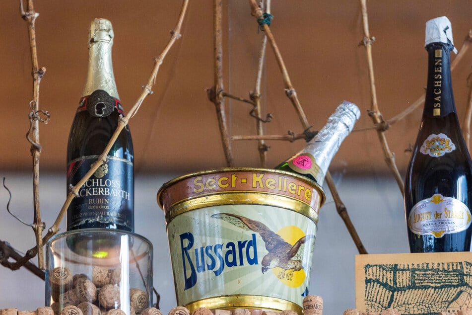 Ein alter Bussard-Sektkübel erinnert im Gutsmarkt von Wackerbarth an die traditionsreiche Sektgeschichte.