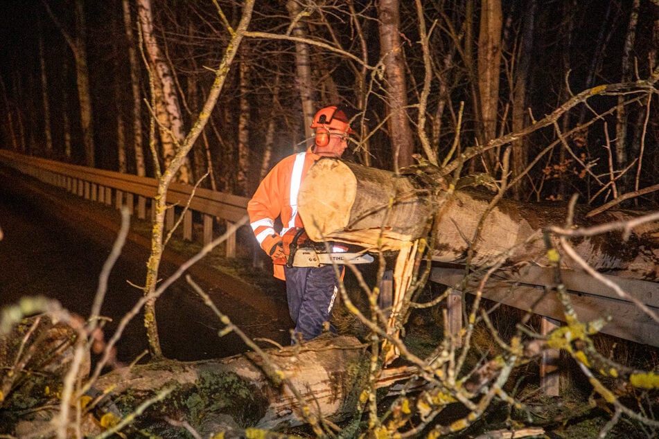 Kameraden der Feuerwehr zersägten den Stamm, damit er anschließend weggeräumt werden konnte. Durch den umgestürzten Baum wurde die Leitplanke beschädigt.