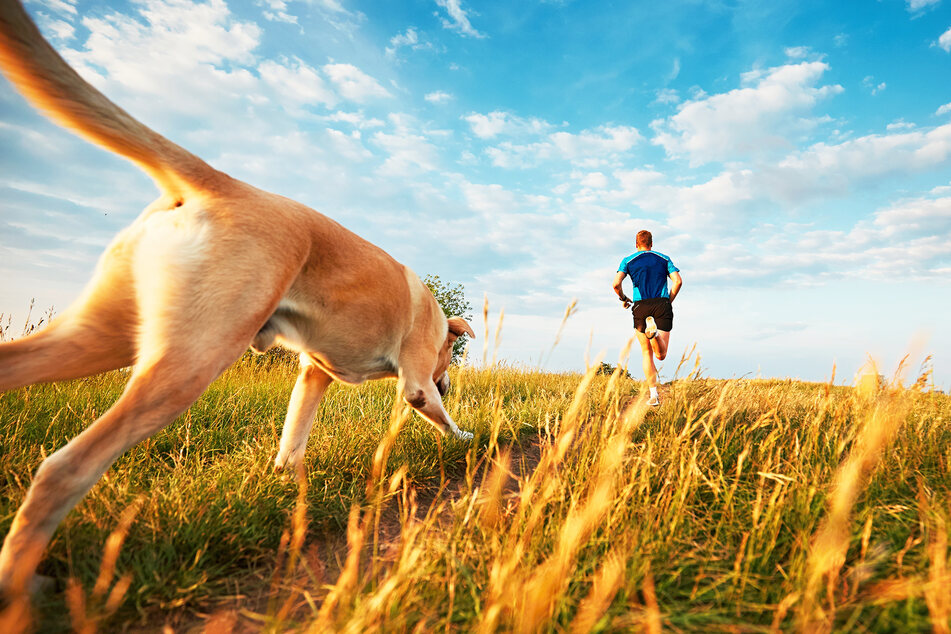 Typ Geht Mit Hund Joggen Dann Zieht Ein Polizist Seine Waffe Tag24