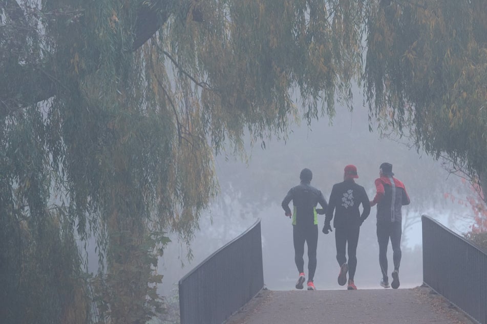 Temperatursturz auf bis 3 Grad: Wetter-Wundertüte im Norden