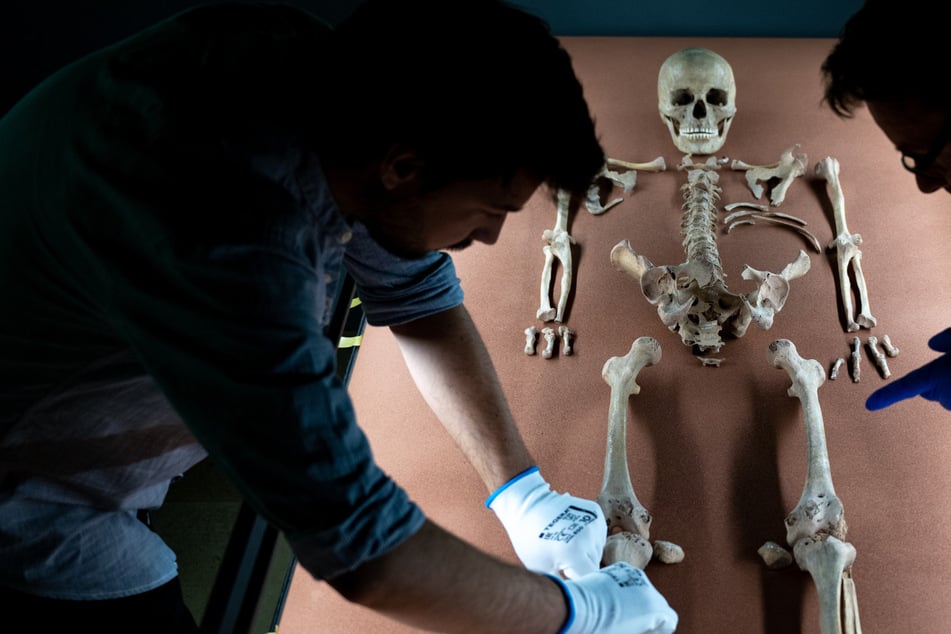 Das sind die Kultur-Highlights in Sachsen-Anhalt in 2026