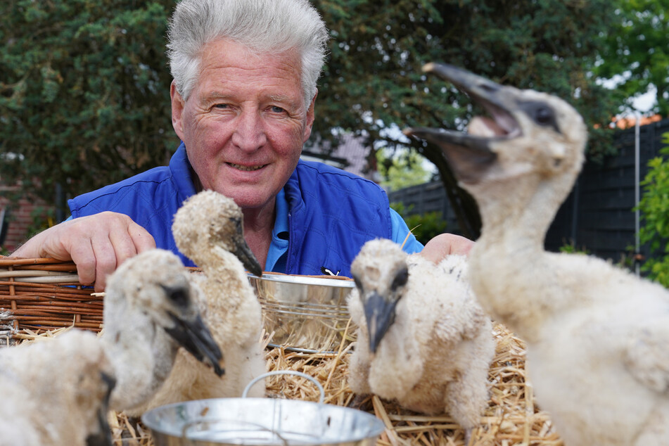 Seit fast 50 Jahren kümmert sich Jürgen Pelch (76) um die Tiere.