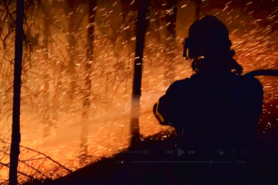 Screenshot aus einer Aufnahme der Feuerwehr vom Waldbrand in der Sächsischen Schweiz. Ein Waldbrand zerstört in Tagen, manchmal nur Stunden, was Jahrhunderte zum Wachsen brauchte.