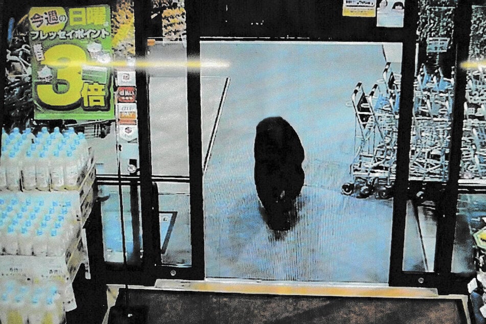 A bear strolled into a Japanese supermarket on Tuesday and injured two people after it became agitated.