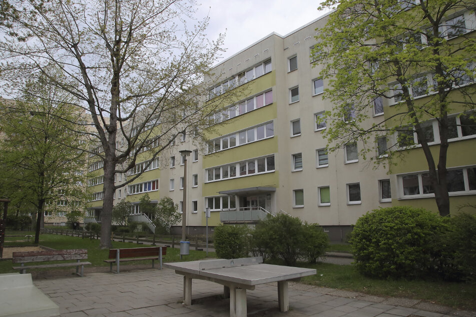 In einer 2-Raum-Wohnung des Wohnblockes in Johannstadt geschah der Ehrenmord.