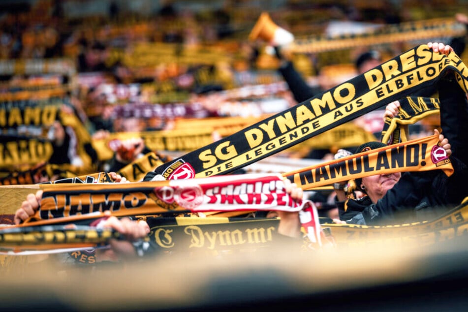 Das erwartet Dynamo-Fans zum nächsten Heimspiel
