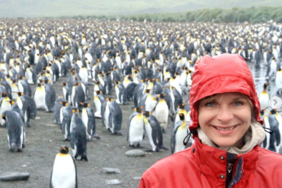 Uta Bresan (60) 2016 mit Tausenden Pinguinen in der Antarktis.