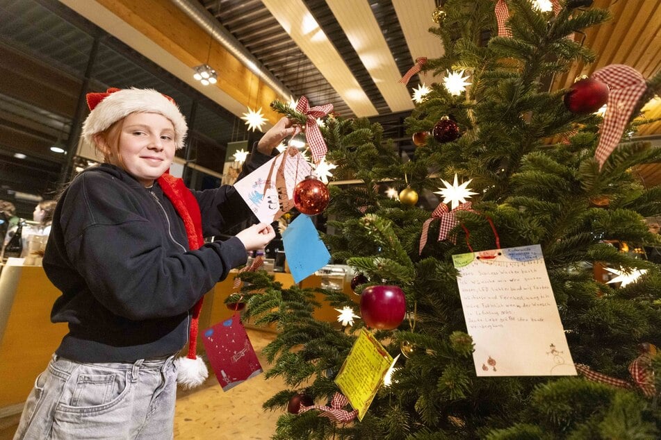 Auf Schloss Wackerbarth hängt Angelie (11) aus der Kinderarche-Wohngruppe Weinberghaus ihren Wunschzettel an den Weihnachtsbaum.
