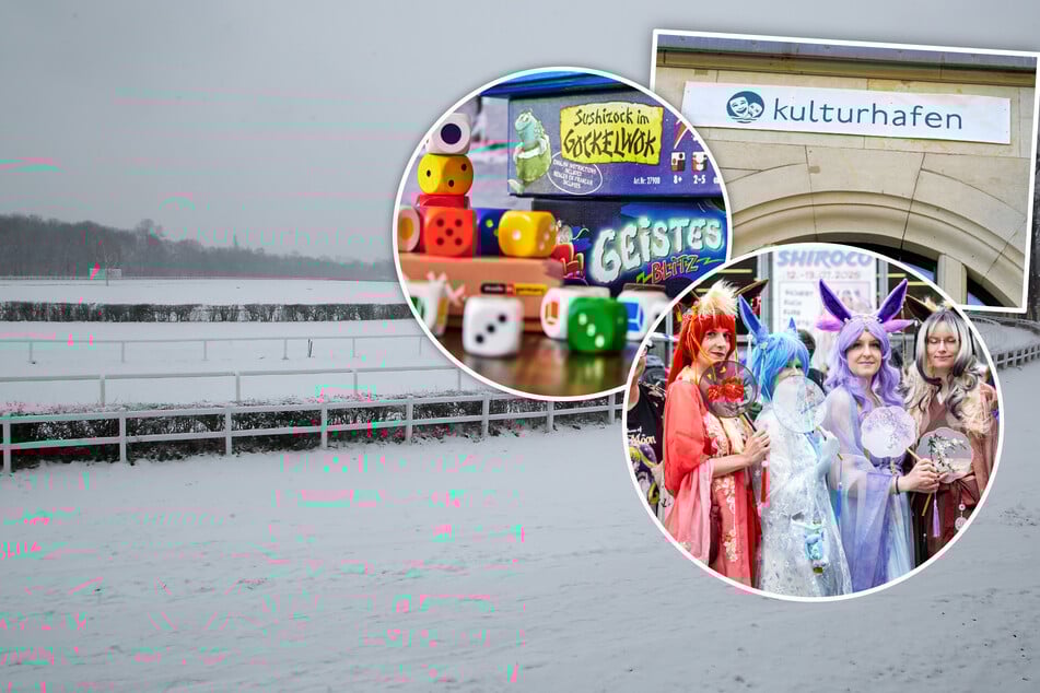 Dresden: Mit diesen 7 Tipps wird der kalte Sonntag zu einem Erlebnis