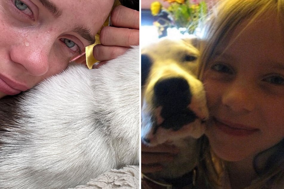 Billie Eilish mourns loss of childhood dog in emotional tribute