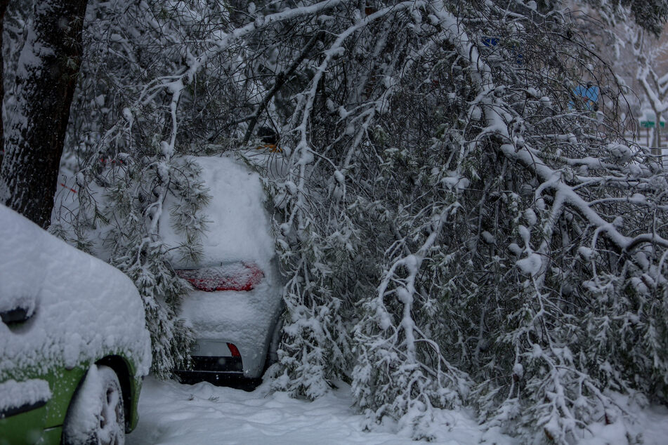 Ein Ast, der durch die Schneemassen abgebrochen ist, liegt auf einem schneebedeckten Auto. Das Sturmtief "Filomena" sorgt in Spanien landesweit für Rekordkälte und viel Schnee.