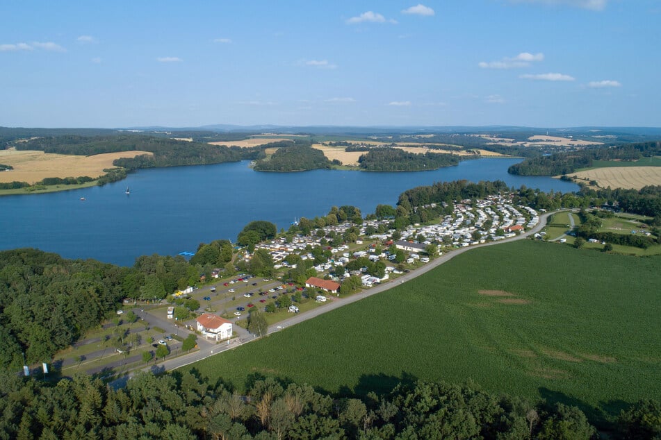 In der Talsperre Pöhl wird derzeit ein vermehrtes Wachstum des "Ährigen Tausendblatts" festgestellt.