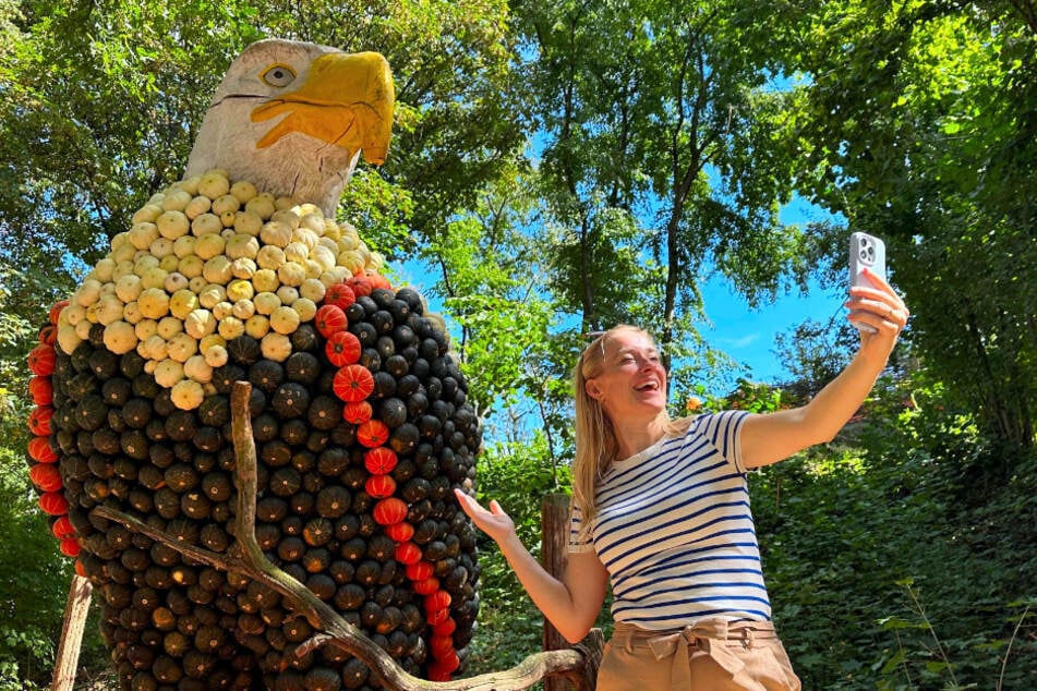 Der Seeadler ist der Könige der Lüfte und in Kürbishausen jetzt als XXL Skulptur zu bestaunen.