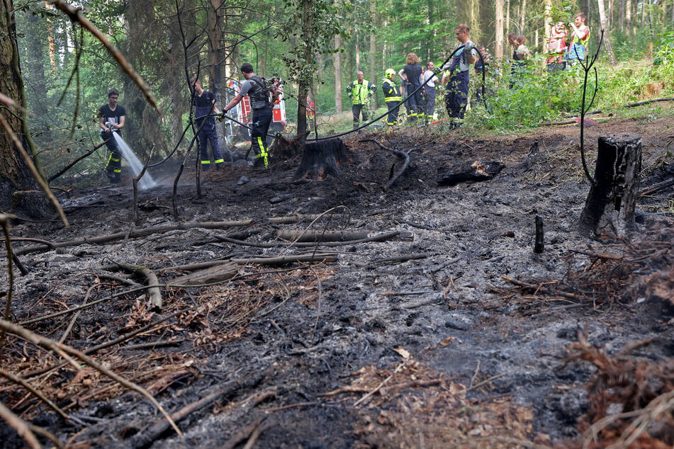 In Heinrichsort brannten circa 250 Quadratmeter Wald.