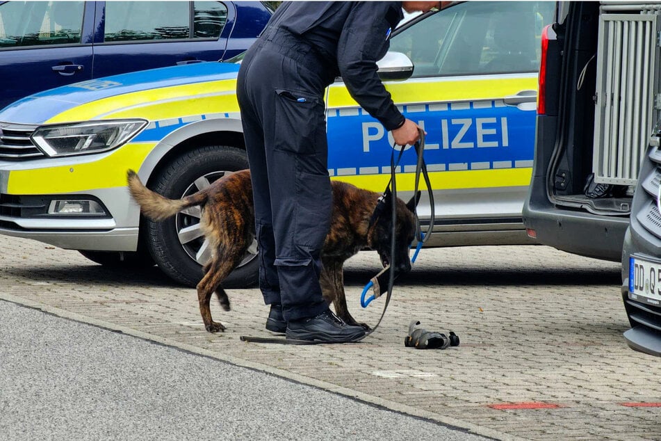 Ein Sprengstoffspürhund sollte Klarheit bringen.