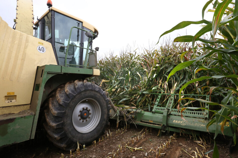 EU-Agrarreform: CSU begeistert, Grüne sprechen vom "schwarzen Tag für die Landwirtschaft"