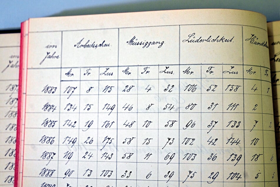 Gründe für eine Einweisung in die Anstalt waren mannigfaltig. In Schönschrift notierten Mitarbeiter zum Beispiel "Arbeitsscheue", "Müßiggang", "Lüderlichkeit" ...