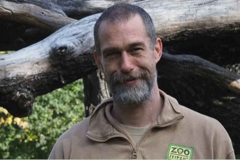 Tierpfleger Daniel Geissler ist von Anfang an Teil des Pongolands im Leipziger Zoo. Zum Jubiläum gab er einen Einblick hinter die Kulissen.