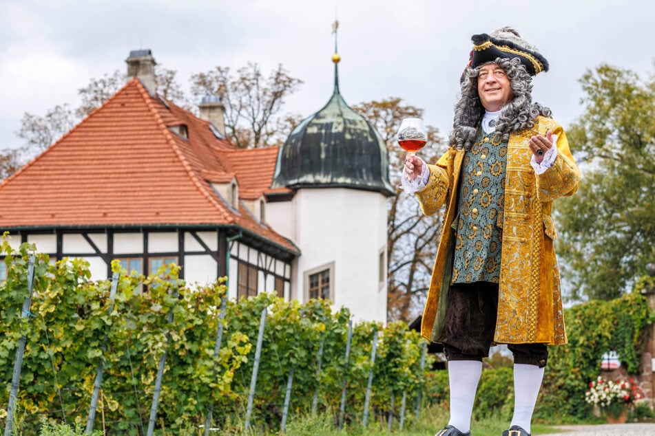 Weingut-Chef Chef Jörg Hahn (63) führt als Hofmarschall von Löwendal den Winzerzug im barocken Prachtgewand an.