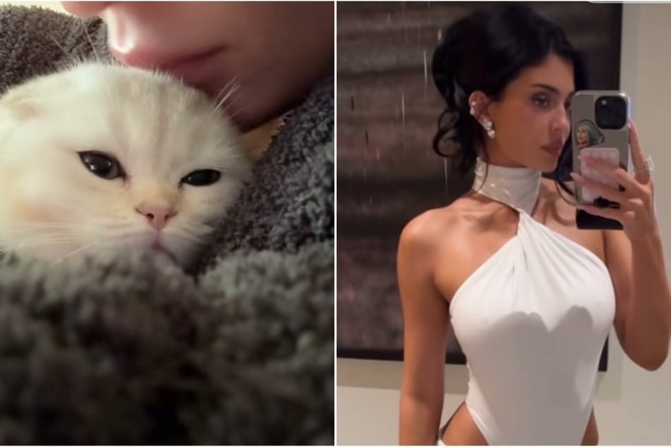 Kylie Jenner gave a glimpse at her new kitty after mourning the loss of her longtime dog, Norman.