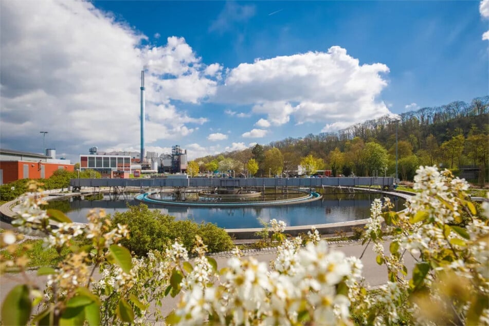 Baden-Württembergs größtes Klärwerk liegt in Mühlhausen: Hier fördert der Klima-Innovationsfonds zwei Projekte für einen klimafreundlichen Betrieb. (Archivfoto)