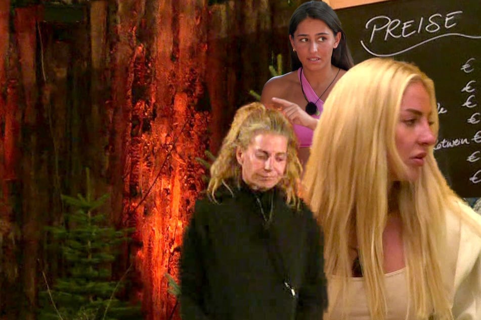 Doppelmoral-Drama: Reality-Lady lästert über "Alkoholiker" und kann sich selbst nicht zusammenreißen