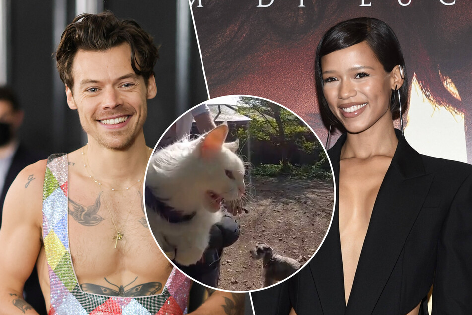 Harry Styles and rumored girlfriend Taylor Russell (r) were spotted together in the UK thanks to a hilarious video by a man who was filming his cat at the time.