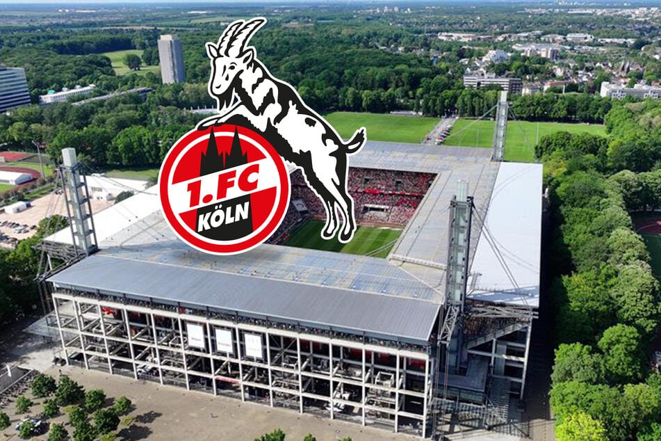 Hier gibt's alle News rund um den 1. FC Köln. 