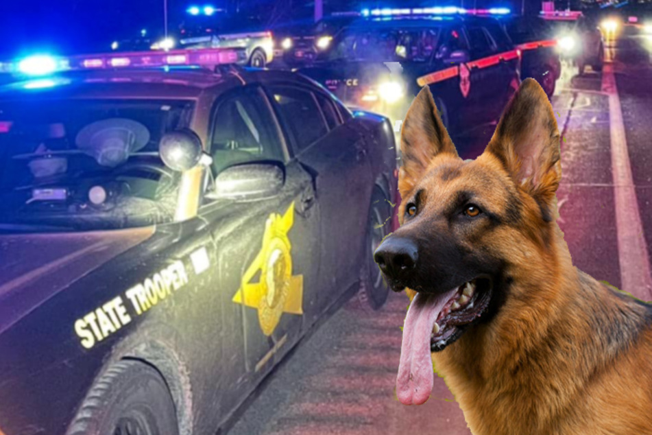 One man's dog engaged in a highway police chase just to save his owner's life.