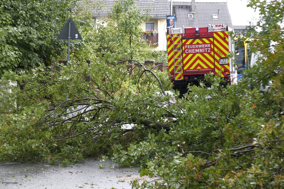 Auch in Chemnitz-Stelzendorf stürzte ein Baum auf die Straße – die Freiwillige Feuerwehr war sofort vor Ort.