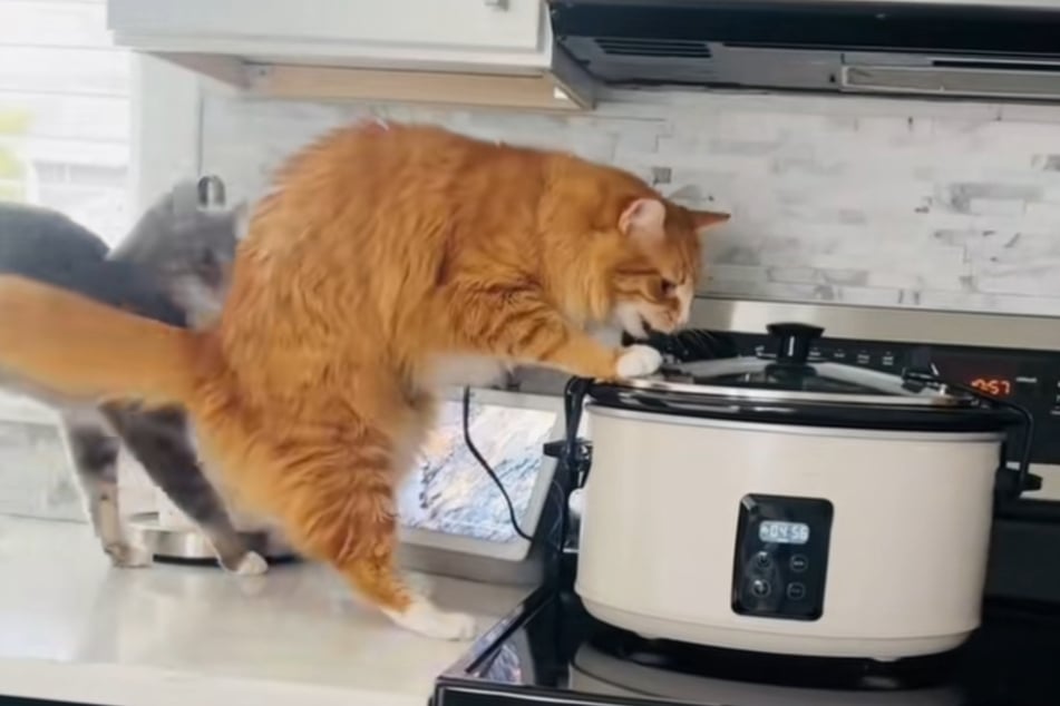 Jednal by Rio stejně, kdyby ho někdo sledoval přímo? Ano!