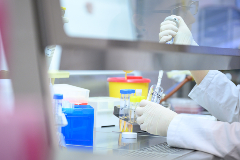 In einem Labor wird ein Coronavirus-Test durchgeführt.